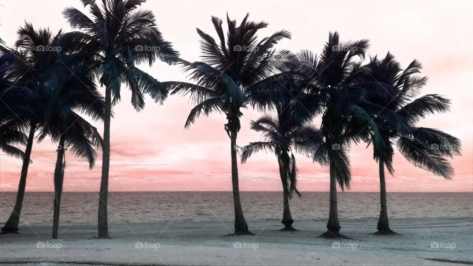 Key Biscayne Sunset