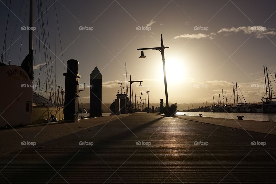 Peaceful Boardwalk