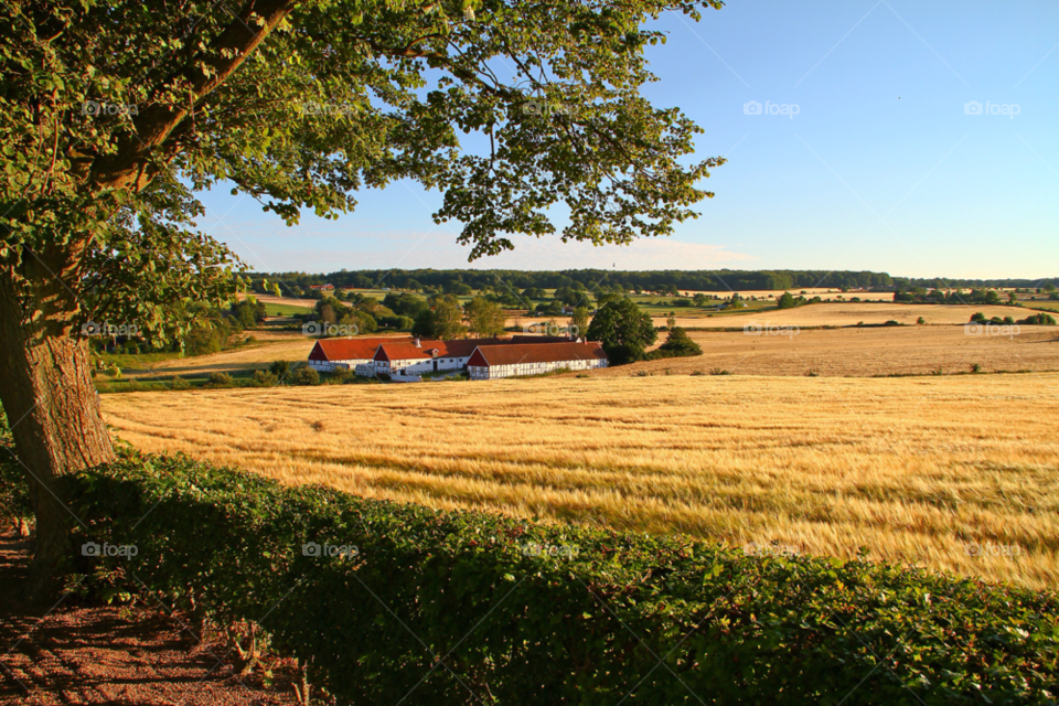 ravlunda landscape sweden summer by sethson