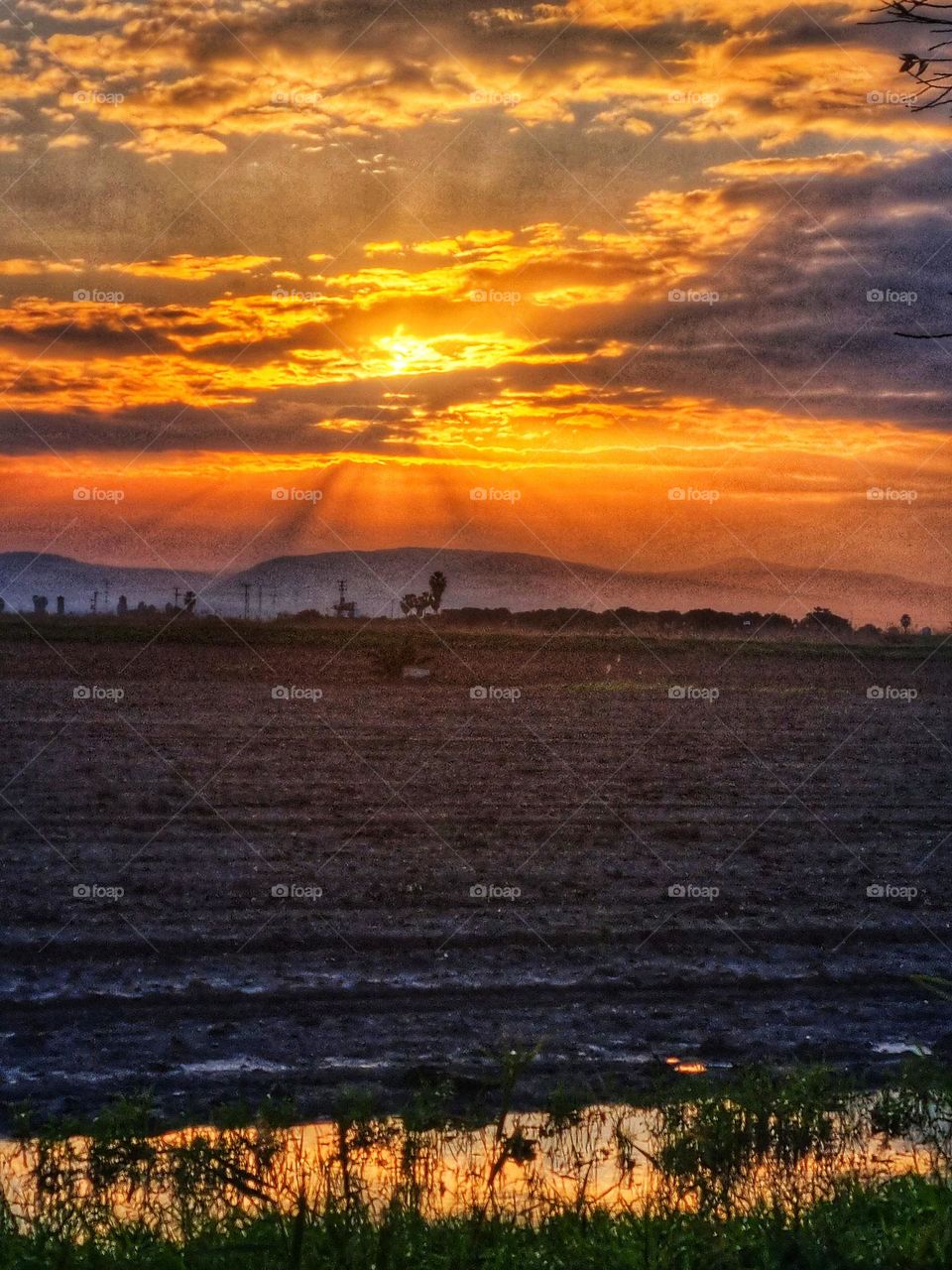 agriculture sunrise sunset sky clouds