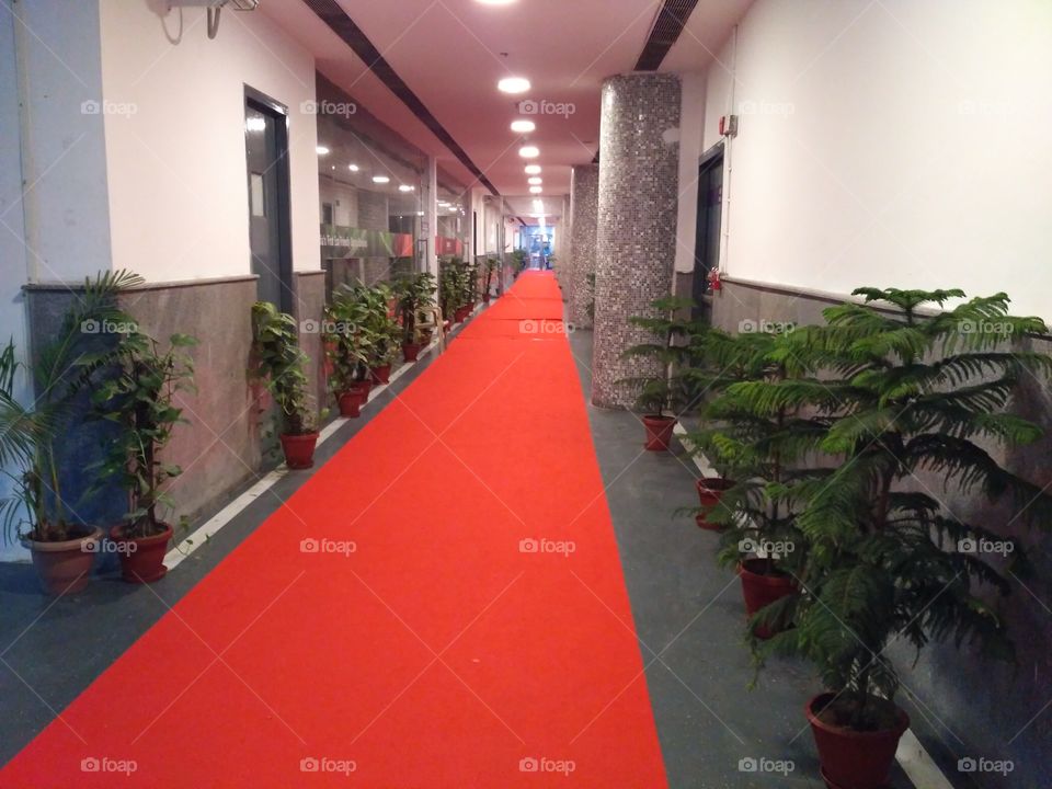 Red Carpet Vestige Award Function