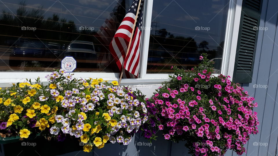 flower boxes