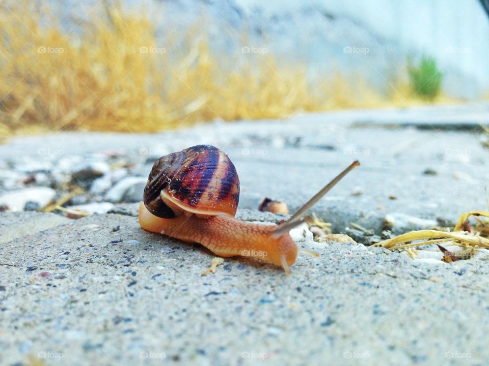 road power speed plovdiv by TheShaman