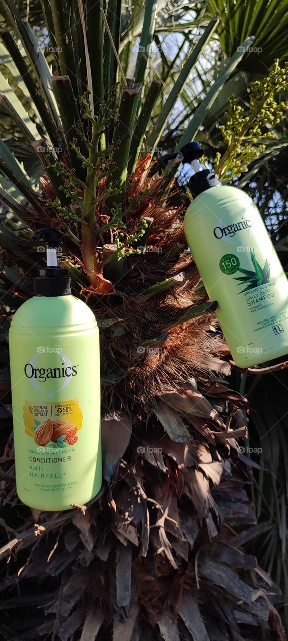 Organis Daily Care 2-in-1, Shampoo and Conditioner