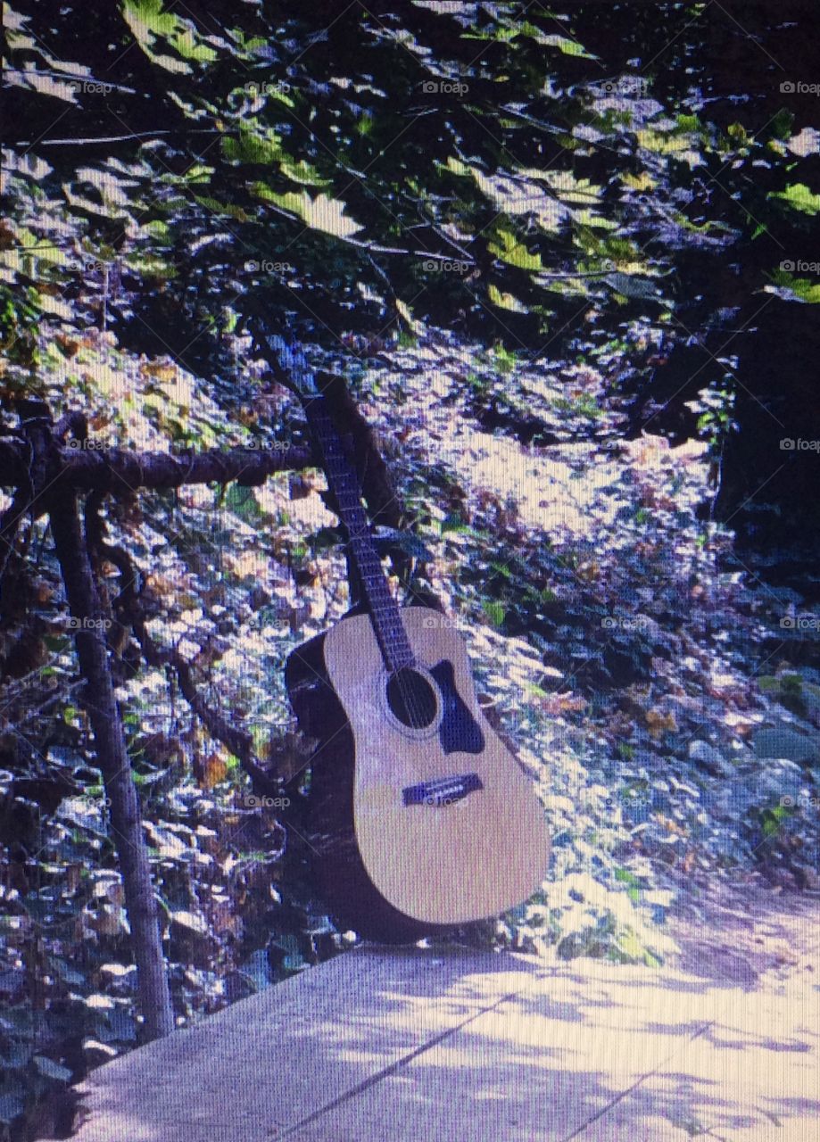 Guitar in Forest