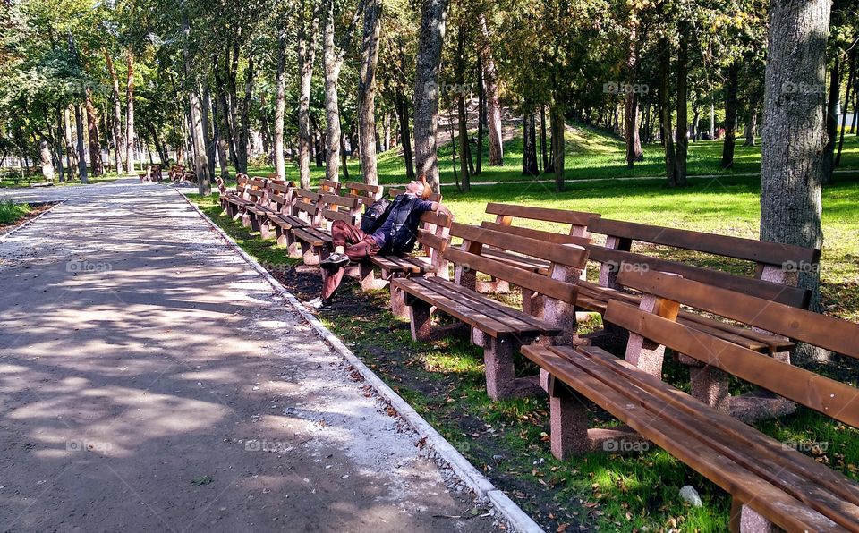 Benches