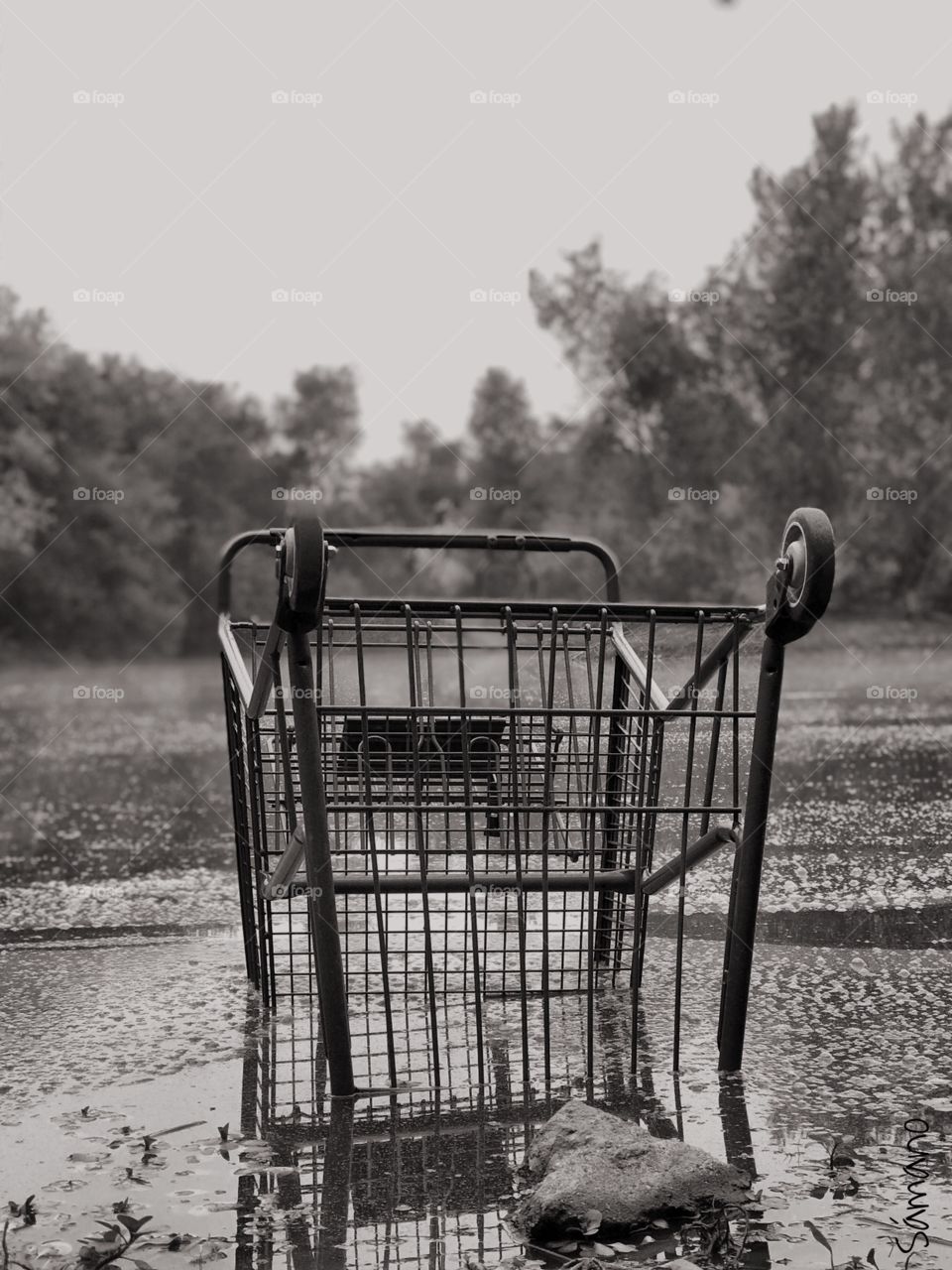 “Shopping cart” thrown into the local slough. It’s getting worse every day. The rise of homelessness isn’t helping. What’s the city doing to alleviate this situation? 