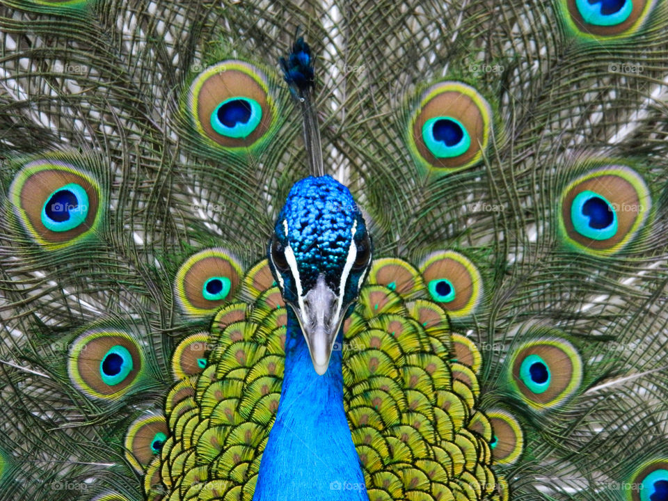 Look how beautiful I am!