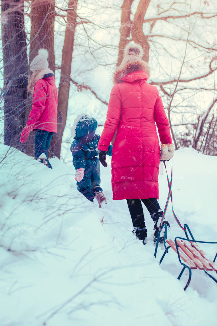 Family, mother and two daughters, spending time together walking outdoors in winter. Woman is pulling sled with her little daughter, a few years old girl, through forest covered by snow while snow falling, enjoying wintertime