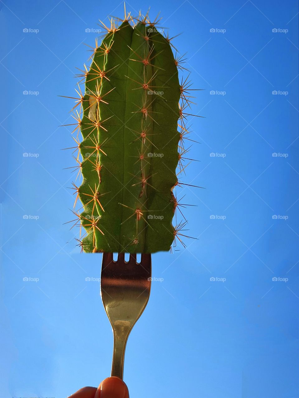 Humor. A woman's hand holds a metal fork with a green prickly cactus on it. Blue sky. The joy of color contrasts, fantasy and meaning. Tequila making
