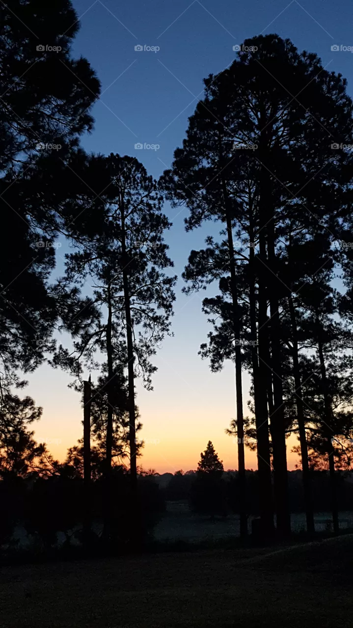 dusk