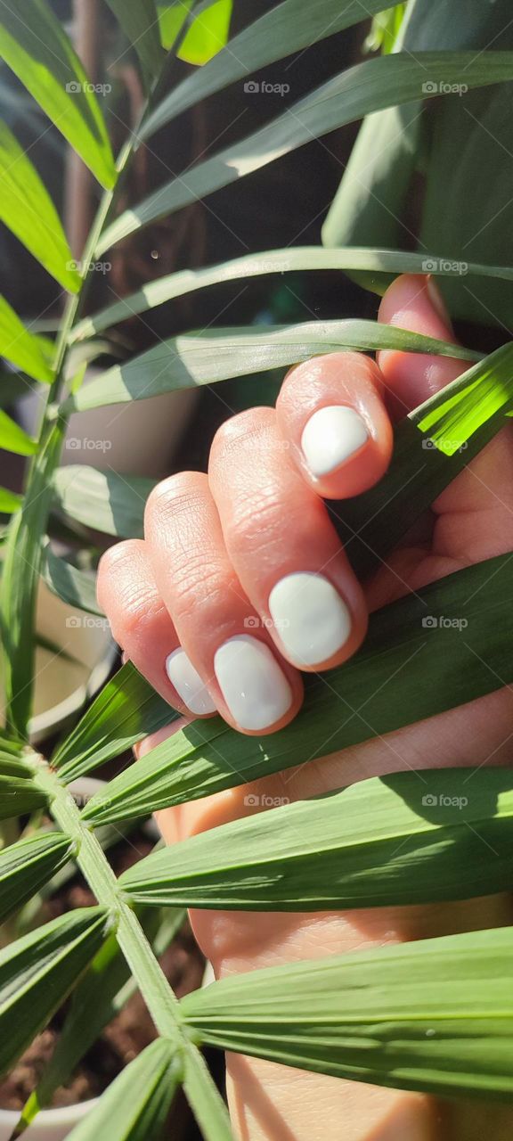 woman with white manicure near green leaves