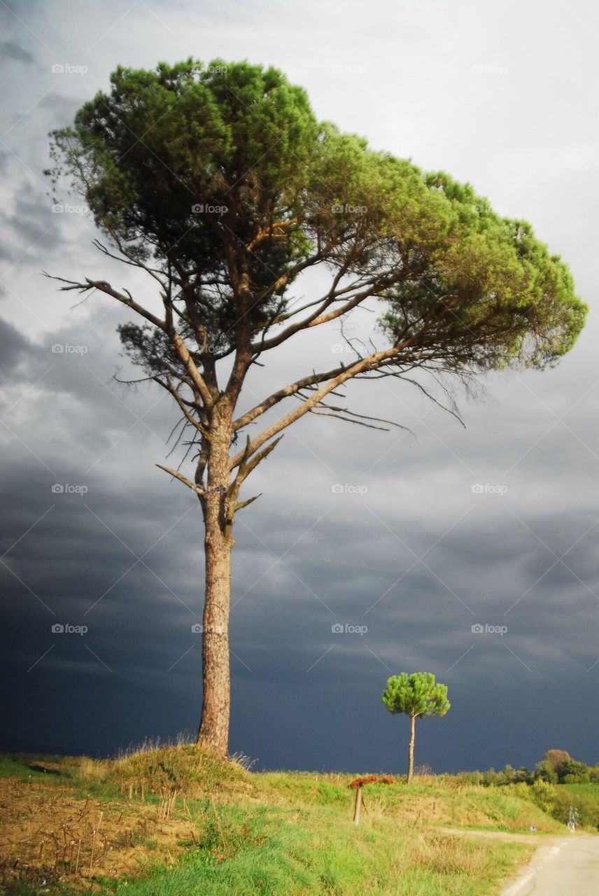 Storm brewing in Tuscany