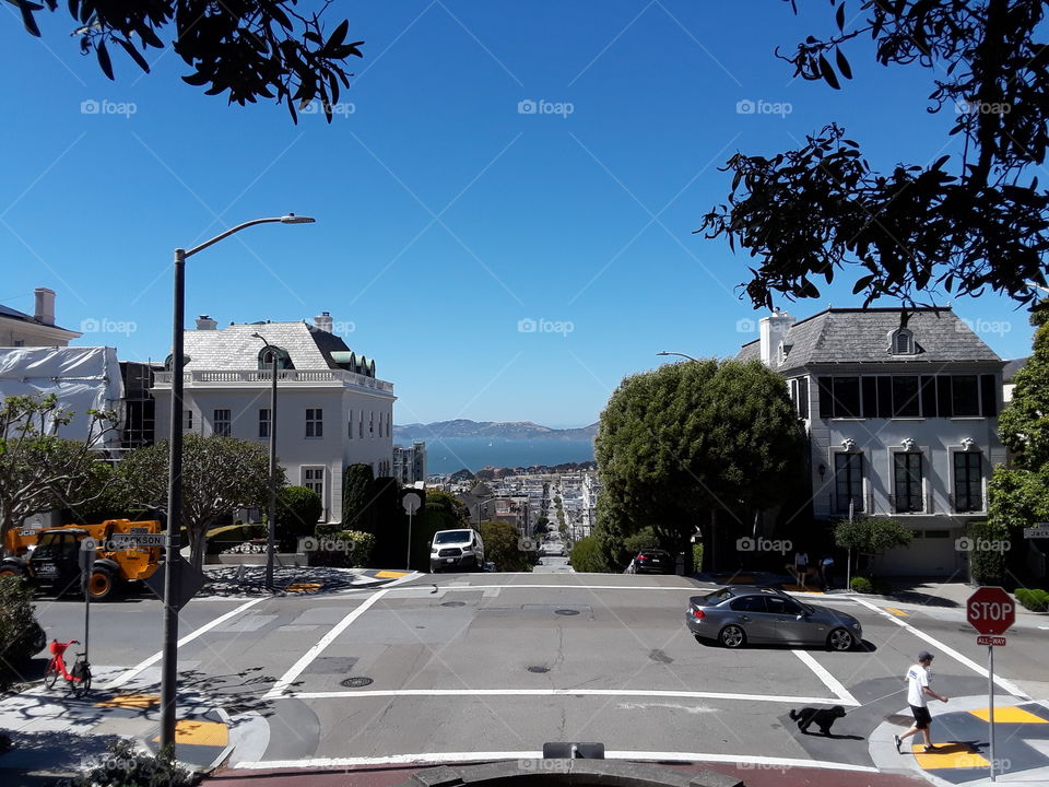 Pacific Heights San Francisco California