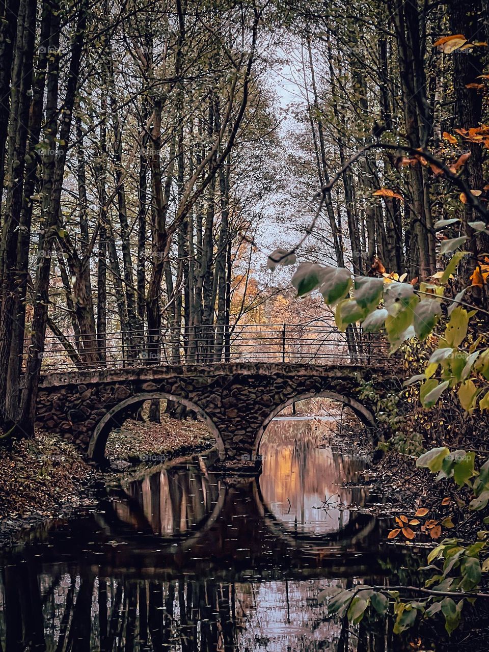 the bridge where the magic happens. 