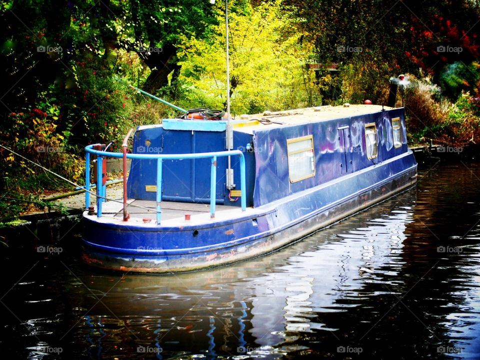 Canal. Narrow boat 