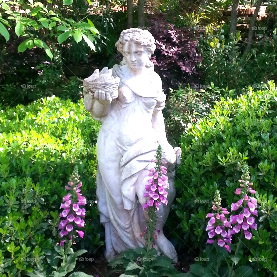 Beautiful Garden Maiden