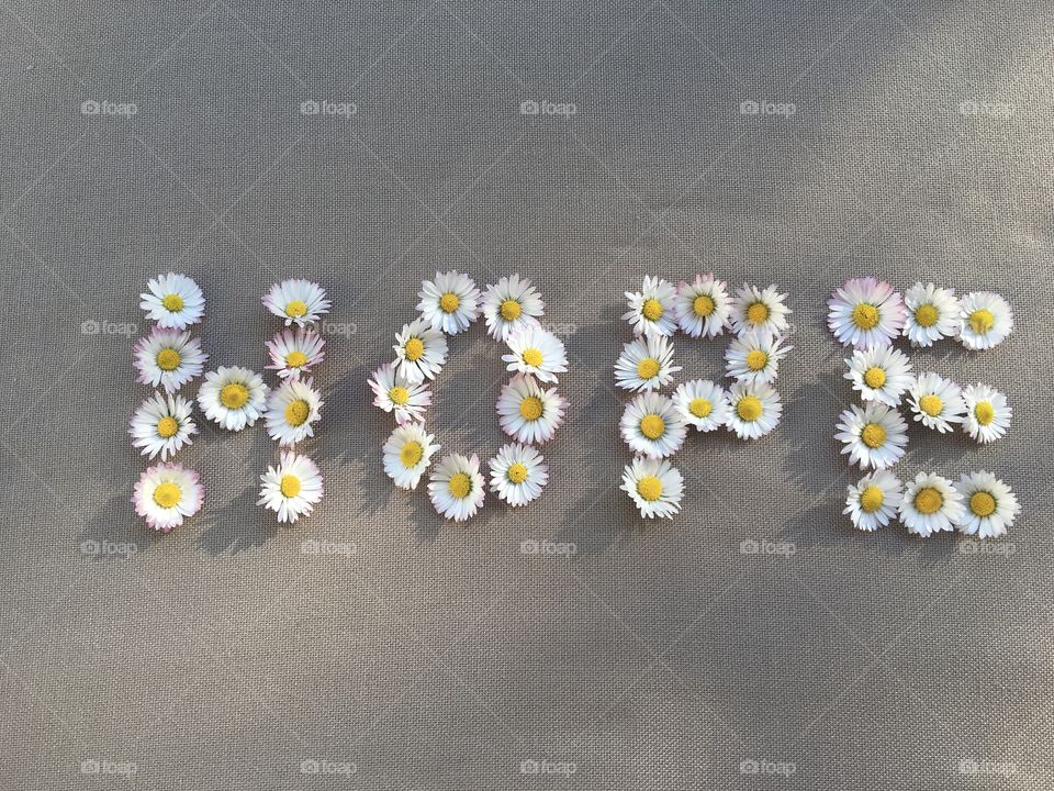 Hope written with daisies 
