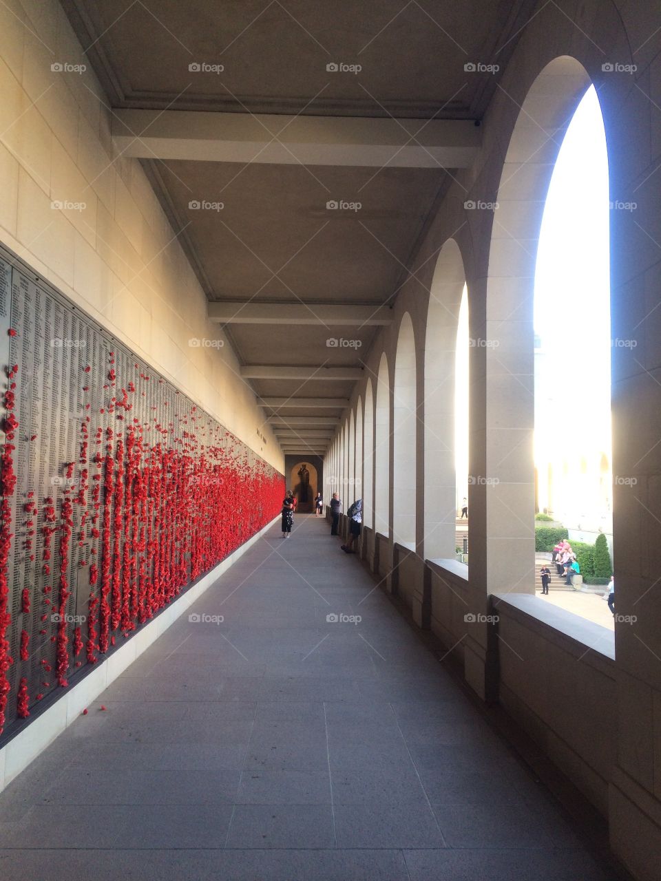 Memories of red poppies 