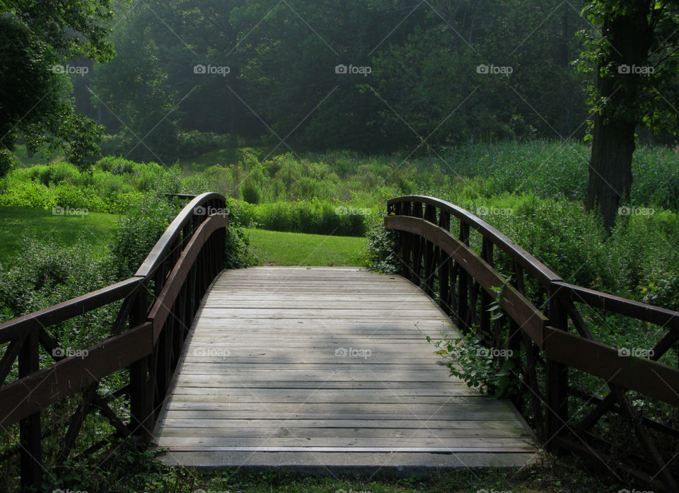 Wooden Footbridge