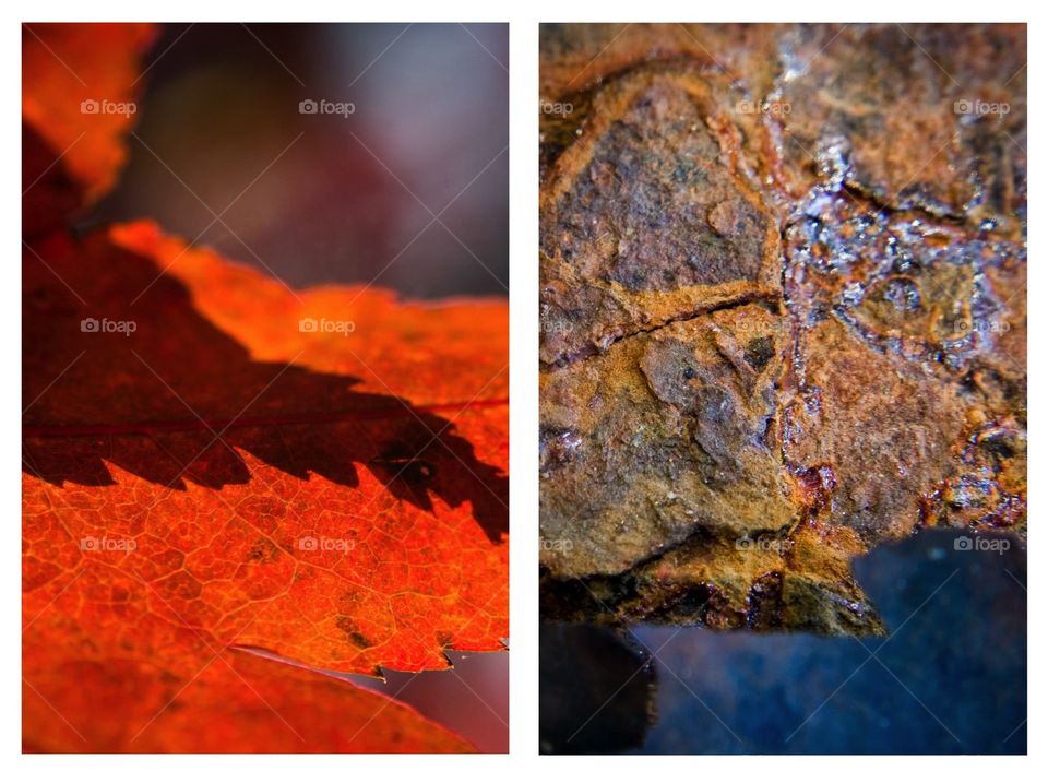 These diptychs are part of a photographic series I did that compares the man made to the nature made through similarity of shapes and textures.