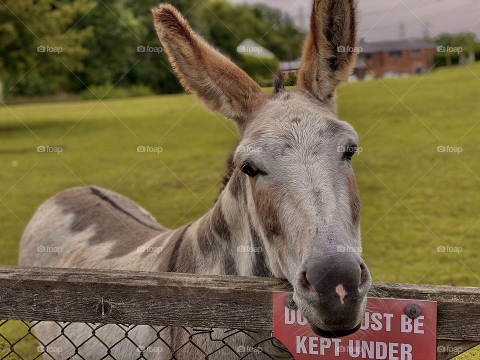 I made a new friend.