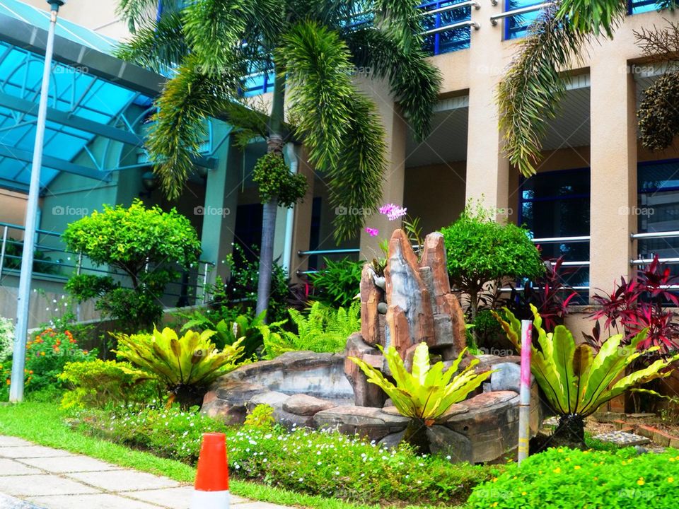 A mini garden outside a building