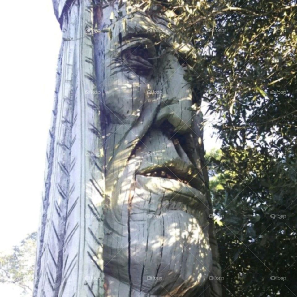 Giant carving of Indian face