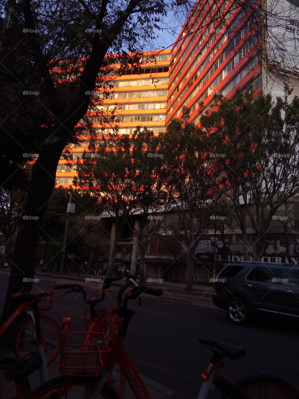 Edificio entre árboles color naranja, con reflejo del sol, en el primer plano bicicletas color naranja también.