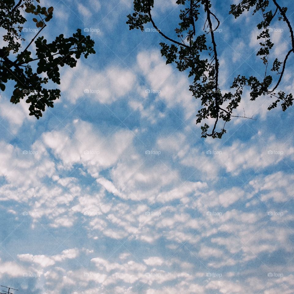 Sky