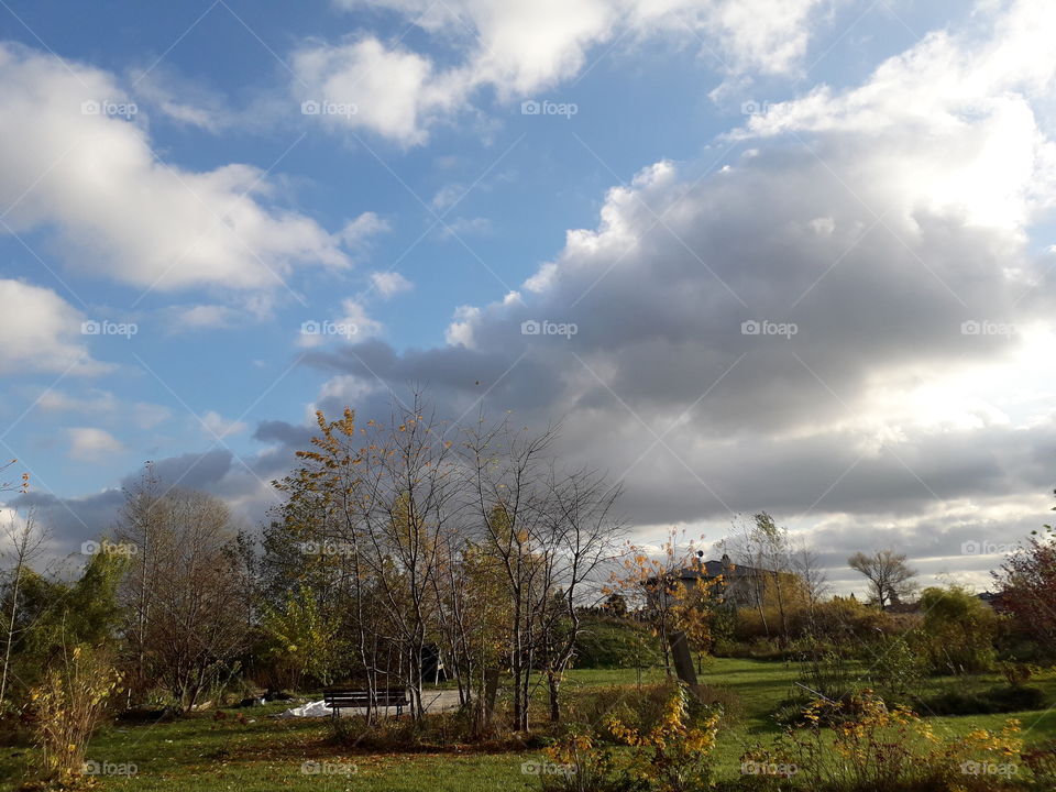 horizontal capture - autumn garden and   cloudy sky