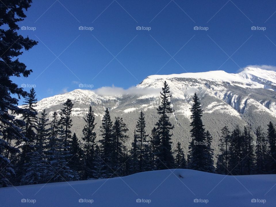 Winter in Banff Alberta, Canada