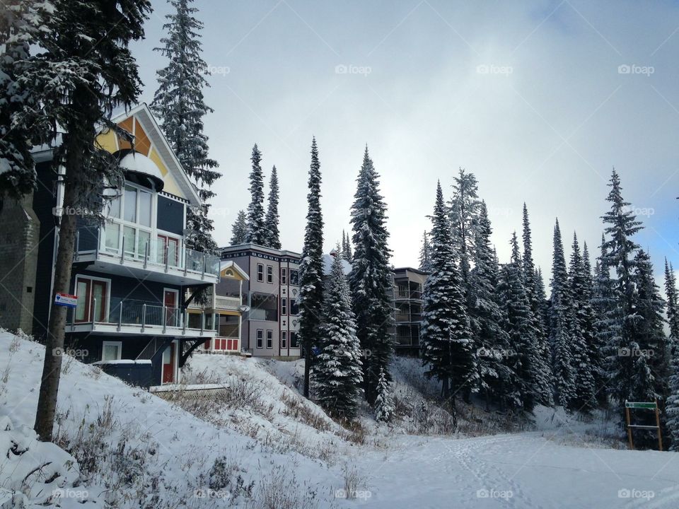 Houses at the ski resort