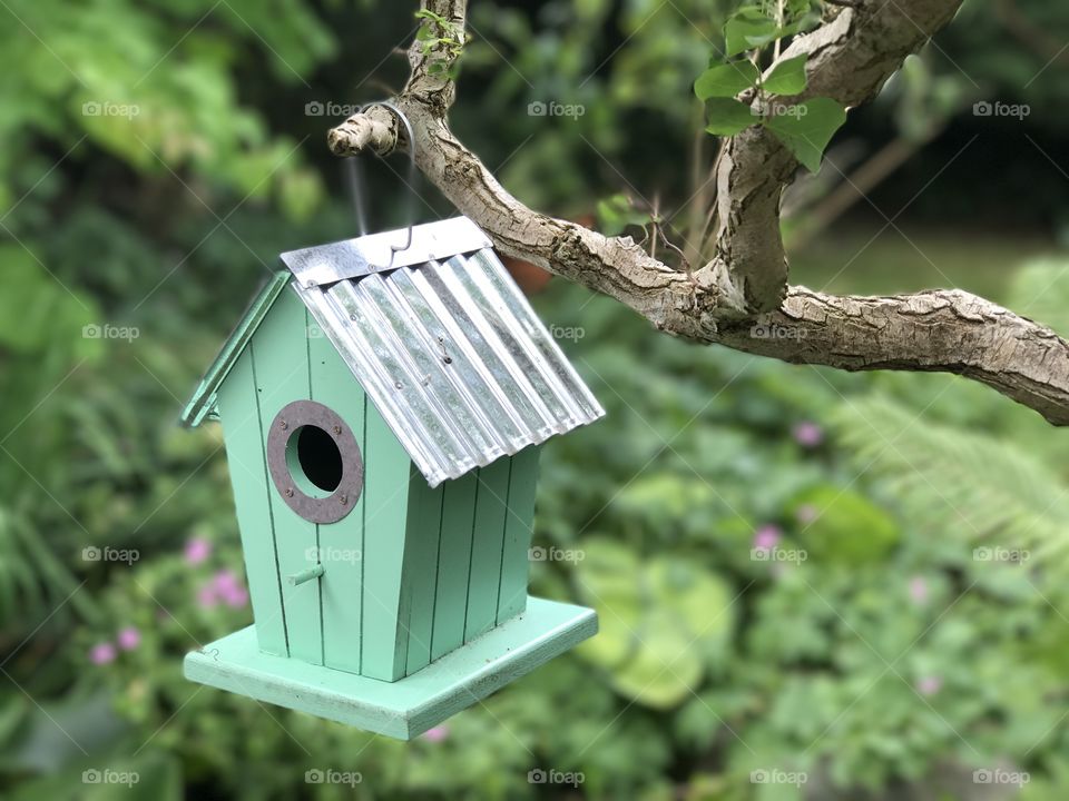Bird house, treehouse,