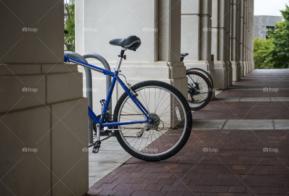 Parked bicycles on campus