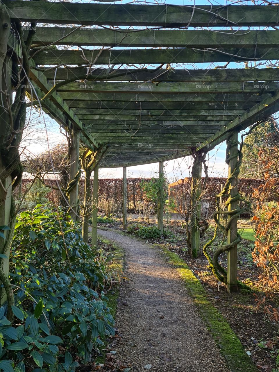 Beautiful sunny day at the gardens. Cosy autumn.