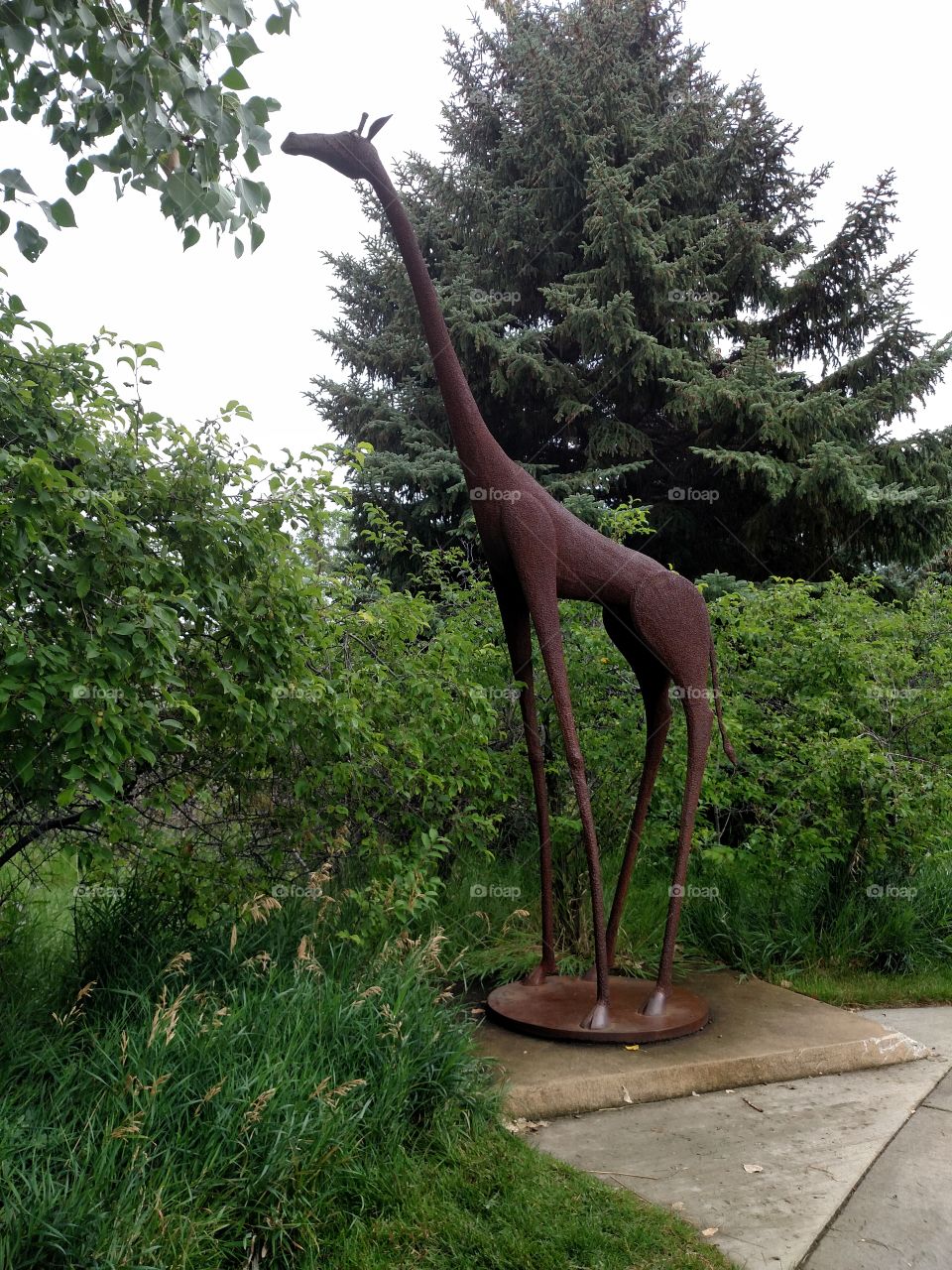 Charlie, Benson Sculpture Garden, Loveland, CO
