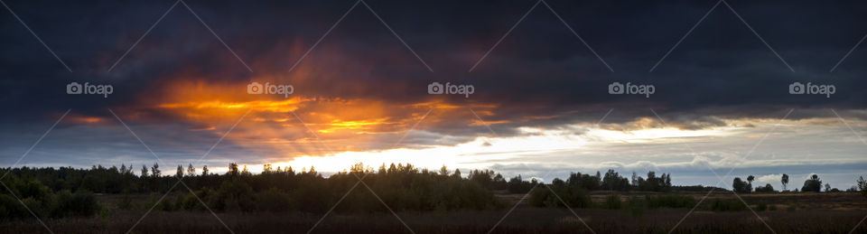 Summer landscape at cloudy day