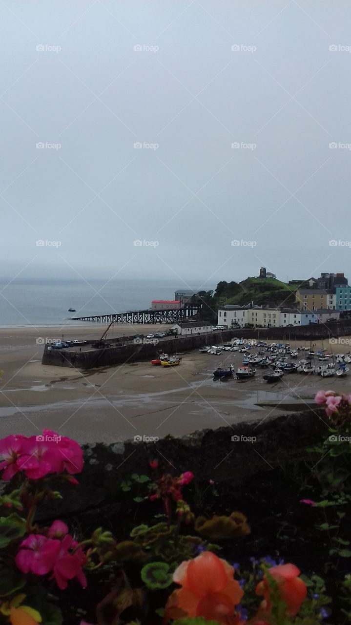 view overlooking tenby