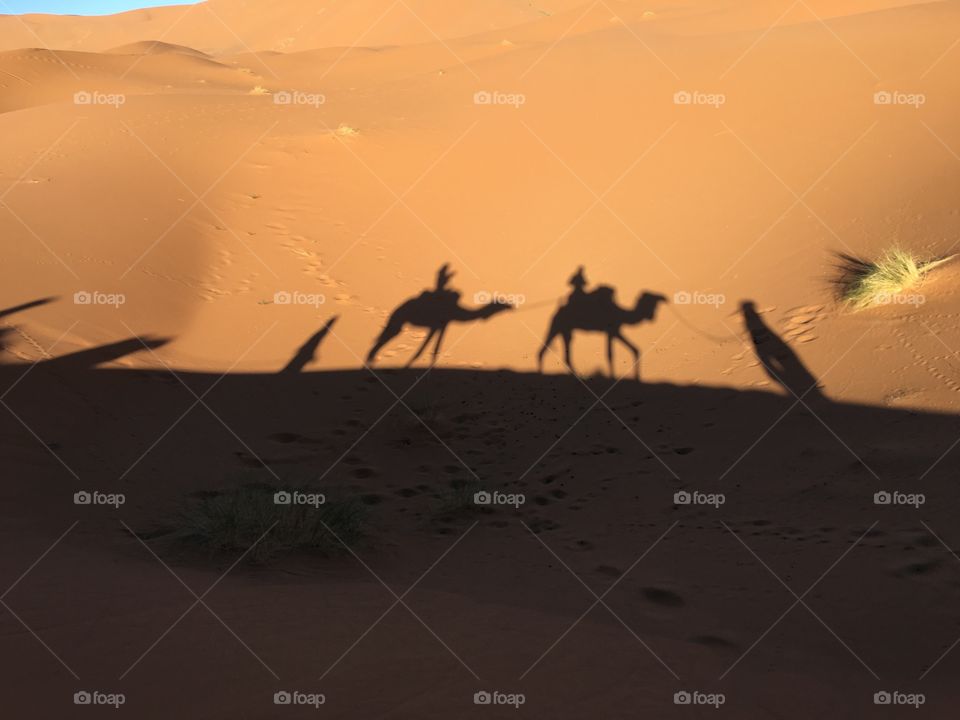 Caravan shadows at sunset