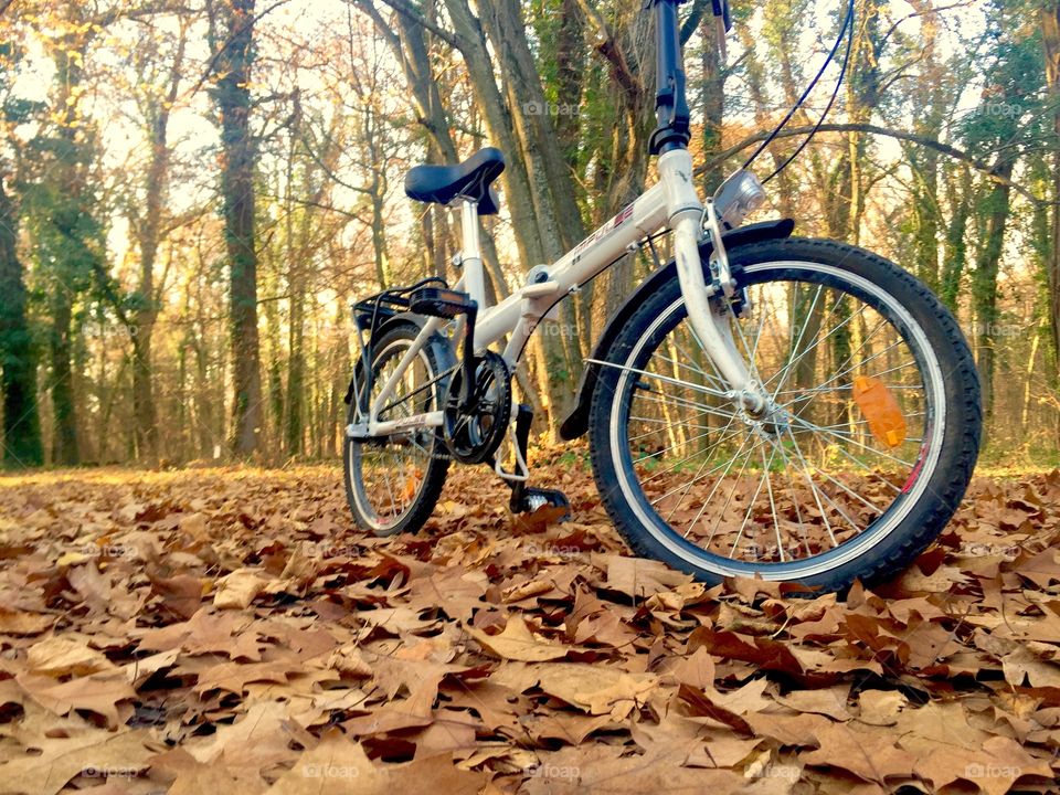 Riding the bike in autumn