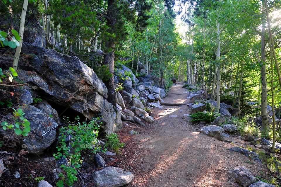 Rocky Trail. Trail in the Rocky Mountain National Park