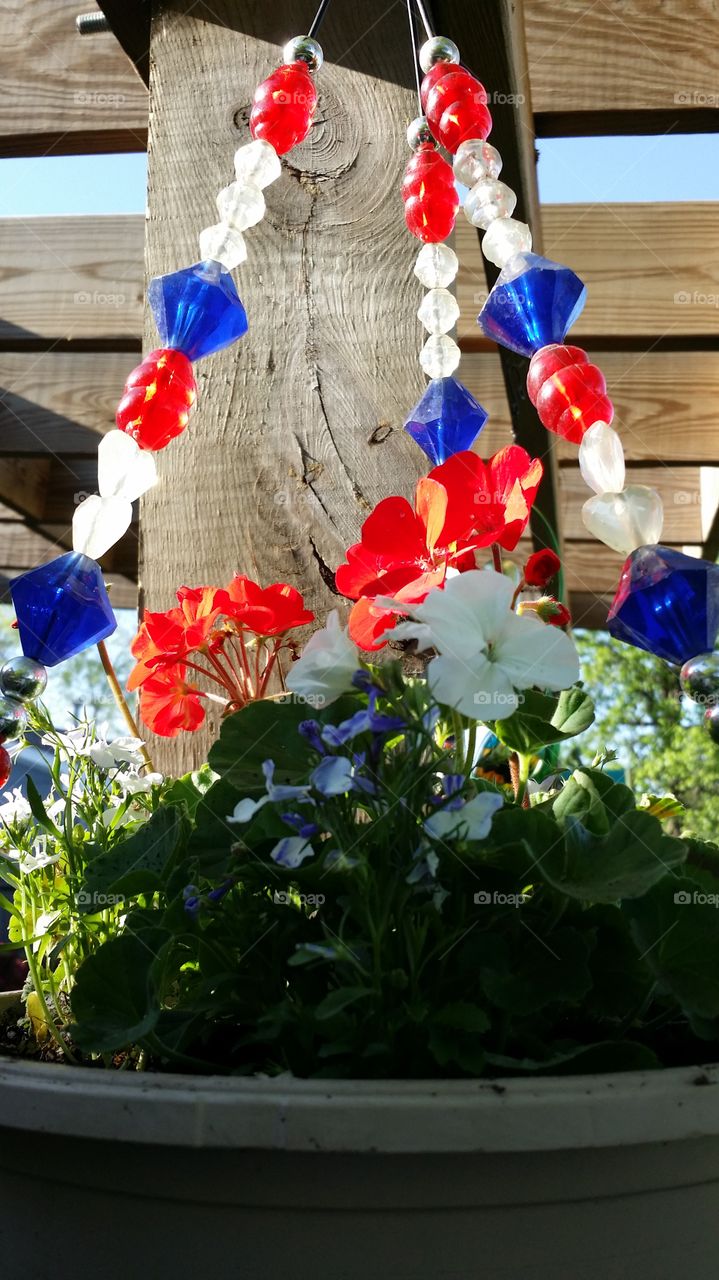 red ,white, blue . a hanging pot I planted  this year.