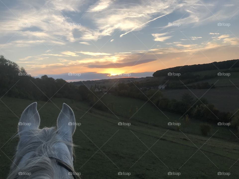 Sunset with horse in the country