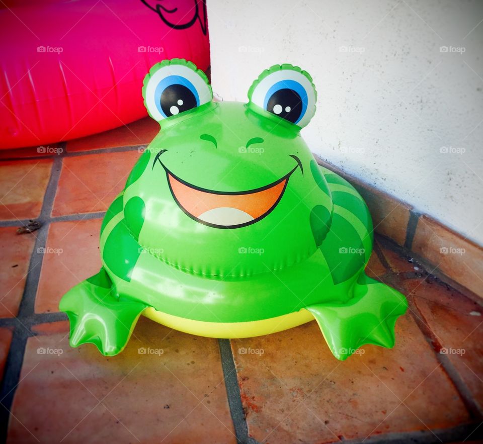 Froggie Floatie