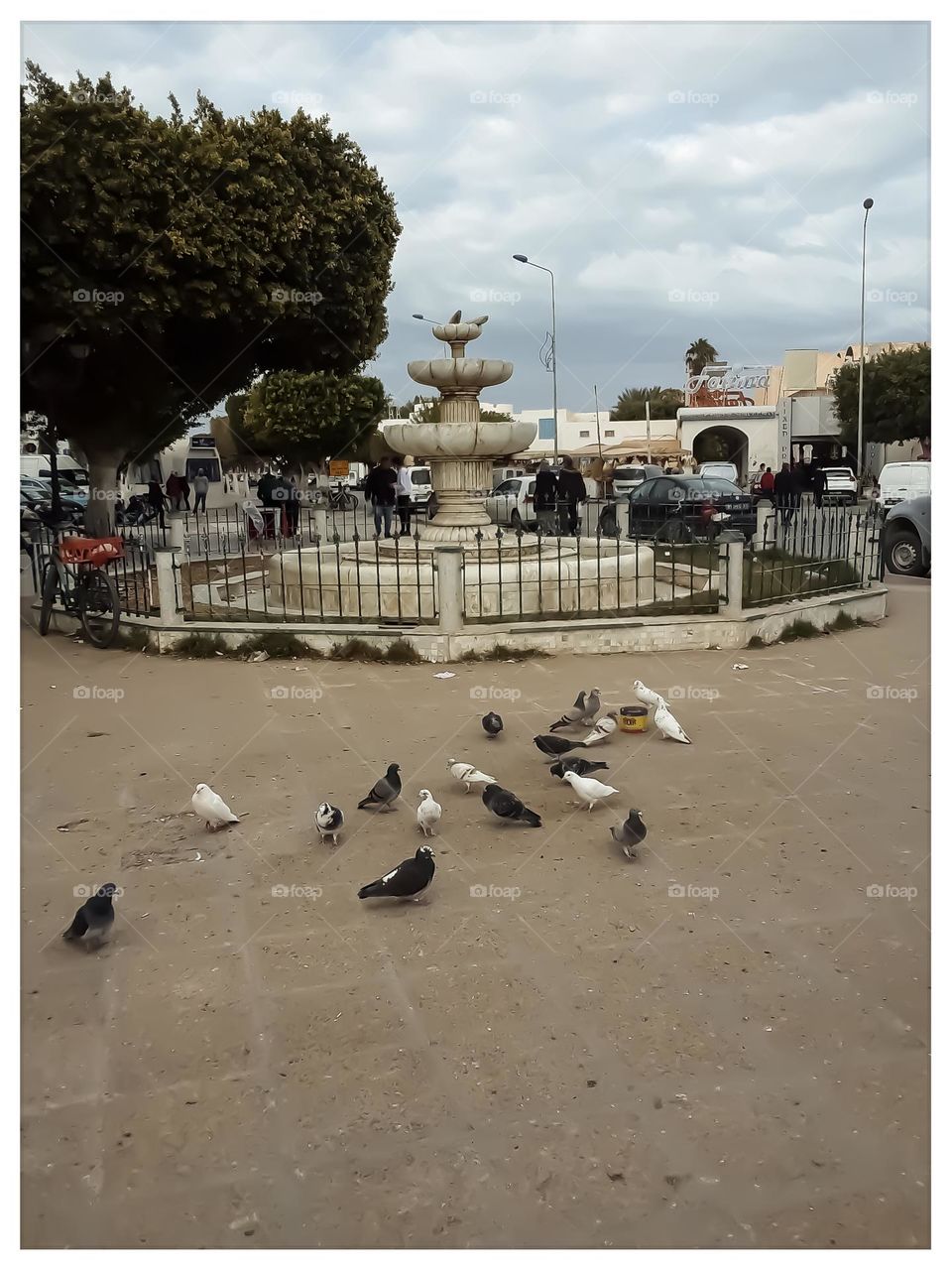 The picture shows the square of the city of Houmt Souk on the island of Djerba, where the fountain and on a tree nearby are the nests of the pigeons that pick their food from the grains scattered before that, the municipal worker in charge of that