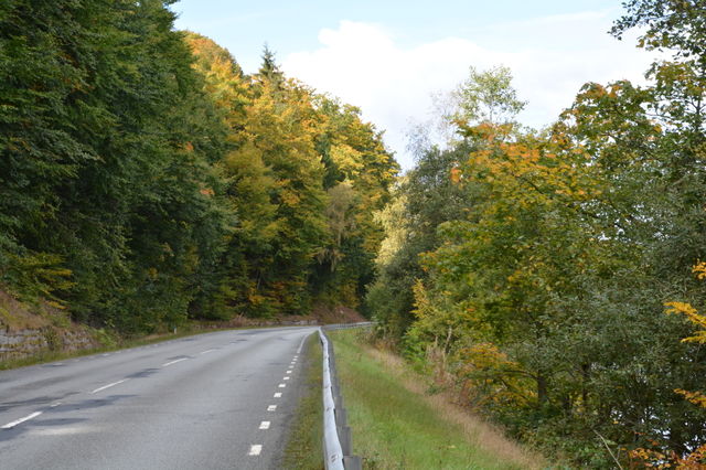 Road 