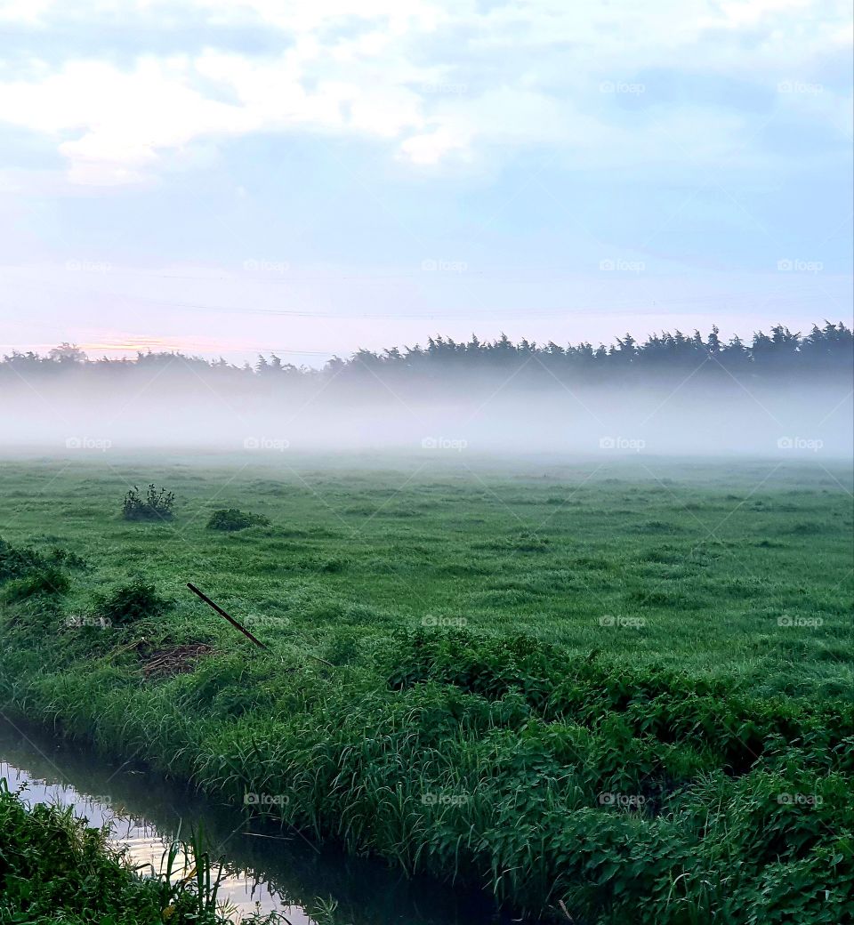 The mist over the landscape.