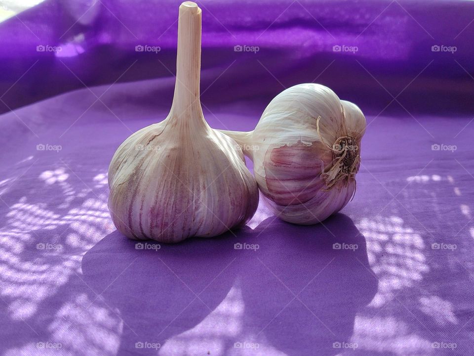 Capture the Power of Complementary Colors. Garlic.