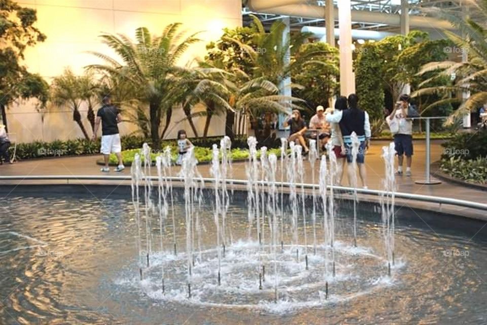 Endearing Gathering at the Pool
